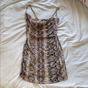 Nasty gal snake print mini dress